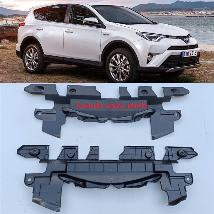 RAV4 2016 sight shield cover